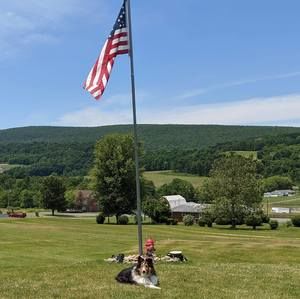 Meet your Posher, Brian